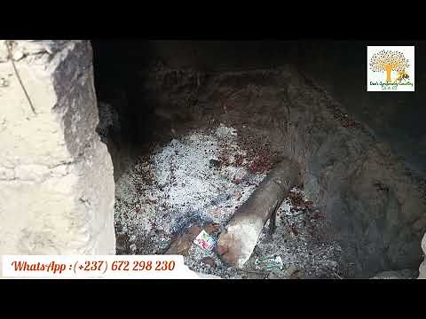 Séchage traditionnelle de piment : voici une technique qui marche bien...