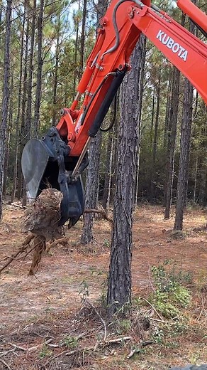 586K views · 5.1K reactions | Wife/Husband Cut Trees, Digs Stumps And Haul Them Away! #couple #teamwork #diy #goals #farm #working | Piney Grove Homestead and Mini Farm | Facebook