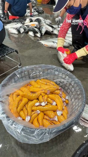 Food Adventure 美食探險 on Instagram: "Cutting thousands of mullet fish for luxurious fish roe #mulletfish #fishroe #luxuryseafood #foodreels"