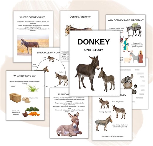 Donkey Unit Study: Anatomy, Life Cycle & Breeds (homeschool Printable) - Etsy