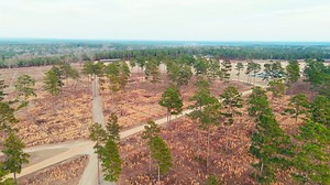 16K views · 201 reactions | Our first event in Camden, South Carolina, was a big success! Thanks to the tremendous support of the local community. There is excitement about the future of bobwhite quail in the Palmetto State. Learn more about the event and how it supports the restoration of wild quail populations. https://conta.cc/3EAwaiI | Tall Timbers, a Research Station & Land Conservancy | Facebook