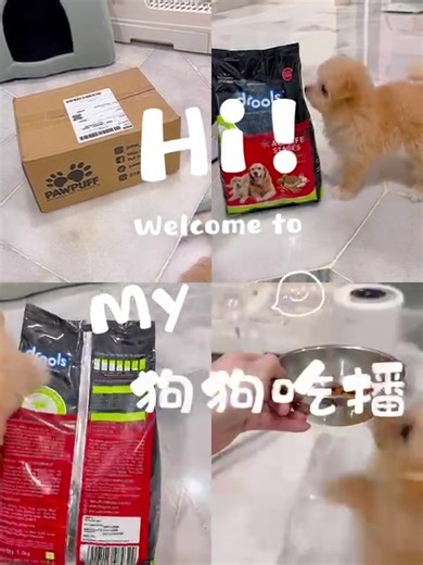 Customer Sharing Video 💕 #sharing #drools #droolsmalaysia #dogfood #fyp