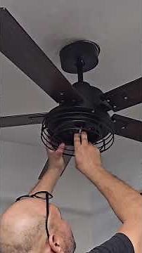 Parrot Ceiling Fans with Lights and Remote