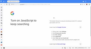 Google search only works with Javascript