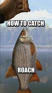 How To Catch A Roach In Fishing Planet! #fishingplanet #shorts #foryou #fyp