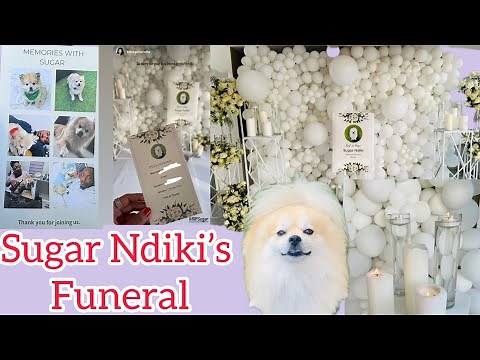 Inside Moshe Ndiki’s Dog Funeral Service| The Funeral of Sugar Ndiki| A dog having a Funeral Service