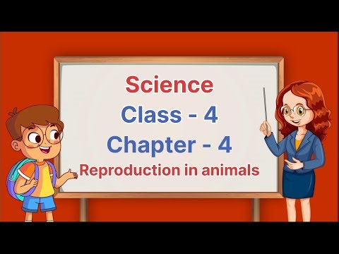Chapter 4 | Class 4 | Science | Easy Learning for Kids | Educational Video