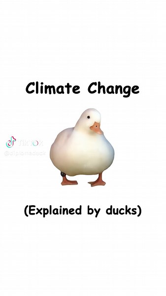 Climate Change Explained Through Duck Animation