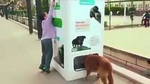 41K views · 1.3K reactions | Sowas gibt es nur in der Türkei ! Pfandflaschen = Hundefressen :)  | Türkische Models | Facebook