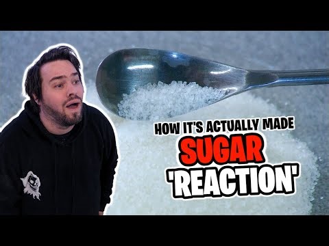 HUGGBEES REACTION! - How It's Actually Made: SUGAR