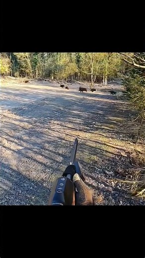 Идеальный выстрел на охоте на дикого кабана 🐗#охота #hunting #wildboar