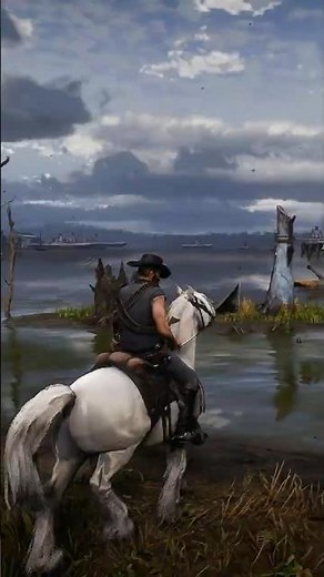 Free Jewelry Bags & Cash in Red Dead Redemption 2