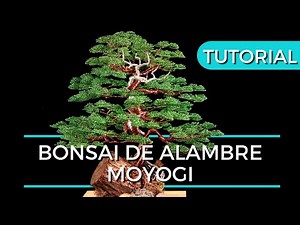 APRENDE A REALIZAR tu propio BONSAI de alambre TUTORIAL moyogi