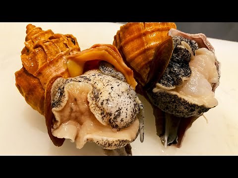 ALIEN SEA SNAIL - Japanese Street Food Whelk Sashimi Seafood