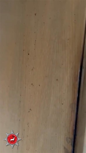 247K views · 1.5K reactions | Fire Door Safety Week (22-26 Sept) aims to raise awareness of the vital role that fire doors play in protecting life and property. We recently attended a fire where this door managed to stop flames and smoke from spreading, protecting the rest of the property. Share and help us raise awareness. If you’re unsure of anything fire safety, please visit: https://orlo.uk/JPe1K | Hertfordshire Fire and Rescue Service | Facebook