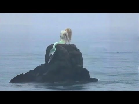 Mermaids Caught On Camera No One Can Explain
