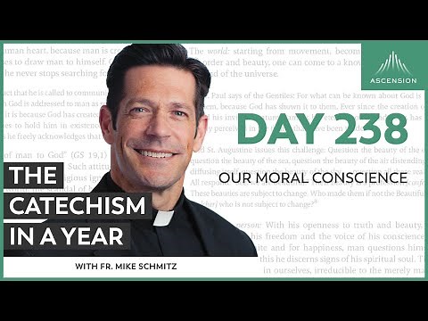 Day 238: Our Moral Conscience — The Catechism in a Year (with Fr. Mike Schmitz)