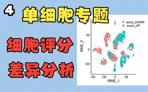 单细胞专题 4细胞评分Addmodulescore