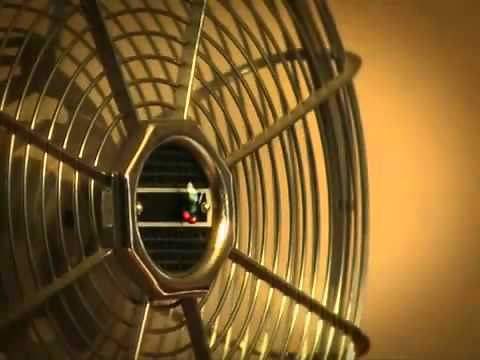 Minuscule Ventilator with spider against fly