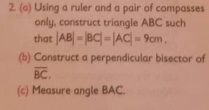 (a) Using a ruler and a pair of compasses only, construct trian... | Filo