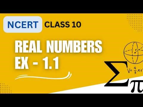 Real Numbers Class 10 | All Exercise Questions Solved Step-by-Step | CBSE Maths