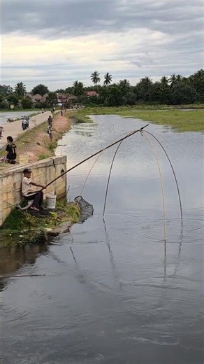 Catching fish using traditional tools #daily #nature #fishing