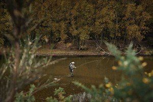 How to Cast Tight Loops - Fly Fishing & Fly Casting