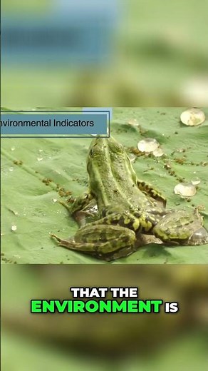 Frogs: Nature's Tiny Detectives Revealing Ecosystem Health #shorts