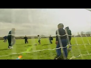 Teletubbies: All About Sports