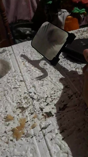 Confused😂. Figthing her own face 🤣 | Webster Page