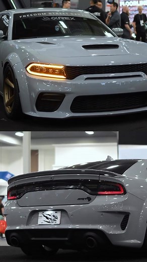 8.1K views · 25 reactions | These Alpha Rex Lights go HARD! Did we...