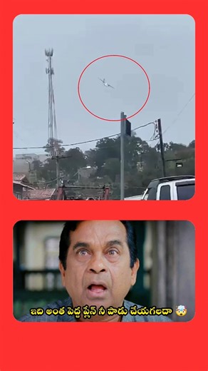 ఇందులో వుండే రసం విమానాన్ని నాశనం చేయగలదా 😱🤯 | STK FACTS