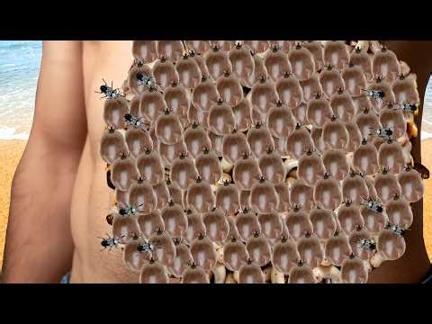 ASMR Belly Spa Tingle Sound With Relaxation | Deep Sleep & Satisfying 😊😊