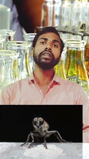 life cycle of housefly | makkhi ka jivan chakr | Science | ak gs Research points