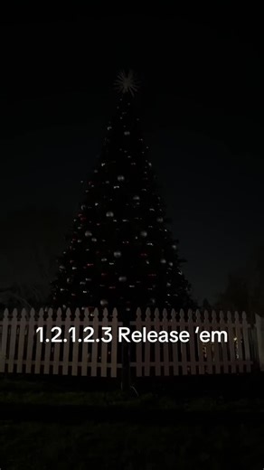 It’s officially the holiday season in Santa Clara! Stop by Central Park and take your photo with the new tree. 🎄 | City of Santa Clara