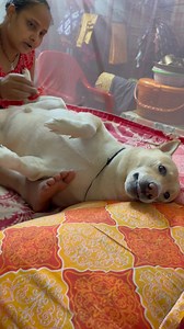 823K views · 10K reactions | Daily night skincare routine  আমায় উল্টে দিয়ে পাউডার মাখাচ্ছে.. | Max Mondal. | Facebook