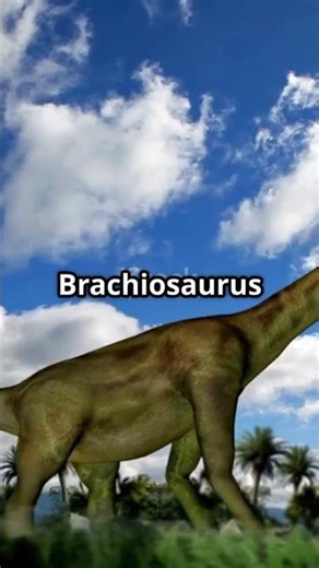 T Rex vs Brachiosaurus Epic Showdown!