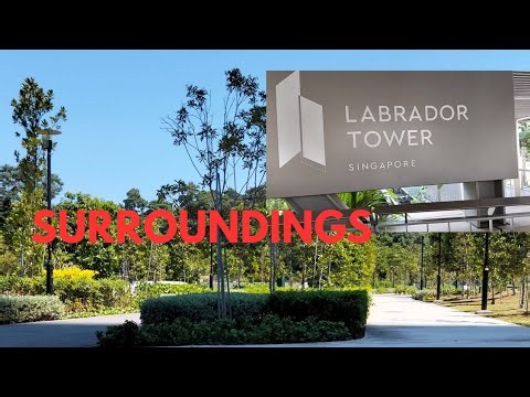 LABRADOR TOWER SURROUNDINGS. THE VIEW VERY NICE. #highlights