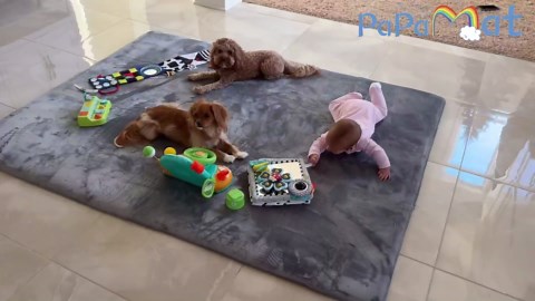 1.5" Thick Baby Play Mat for Floor, 39x59 Playpen Mat, Pro Soft Flannel Foam Mats Toddler Infant Kids Crawling for Nursery Rug Playroom Living Room Waterproof Easy Care Non-Slip (Dark Grey)