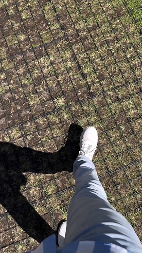 Machu Picchu | Machu Picchu