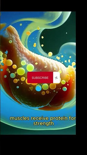 The Digestive LensWhat Chicken Wings Do Inside Your Body 🍗#chickenwings 3danimation #digestive