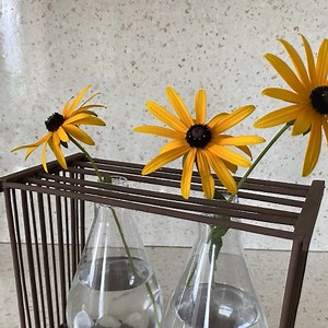 29K views · 565 reactions | A simple vase idea made from plastic bottles and wooden sticks | Diy Craft Ideas | Facebook