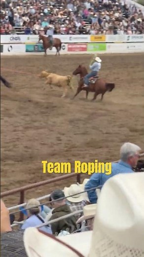 Team Roping @ Clovis Rodeo April 2026 #rodeo #cowboys #horse
