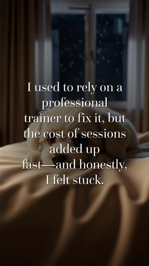 1K views | Start training your dog with the Best Dog Training App in the World!  | Dog Training & Tips | Facebook