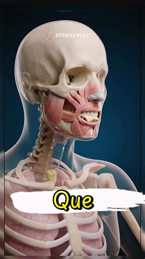 ¿Qué pasa cuando comes queso todos los días? 🧀😱