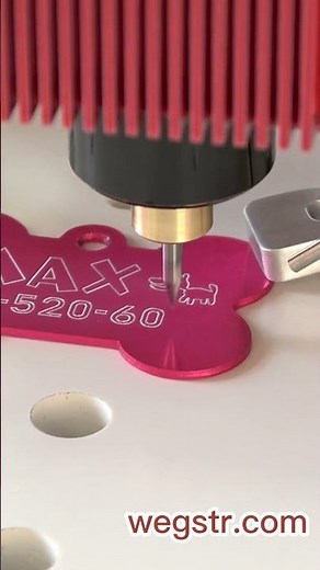 Engrave pet ID tag - cnc wegstr