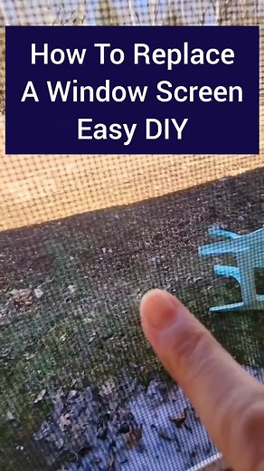 Easy DIY window screen repair you can do this weekend #thedailydiy #diy #doityourself #diyproject #reno #windowscreen #homerepair #homeimprovement | The Daily DIY