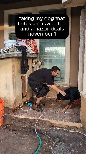 "Your drawers need more love than you gave that banana" Amazon deals November 1st Today I found deals on an HDMI 4k receiver a 6 foot christmas tree with button lights and a heading camera and gps tracker detector. | Founditcheaper