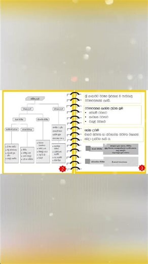 Grade 7 Geography Exam Notes 🔥 | Fast Revision for School Exams 🌍📚 December 2, 2025