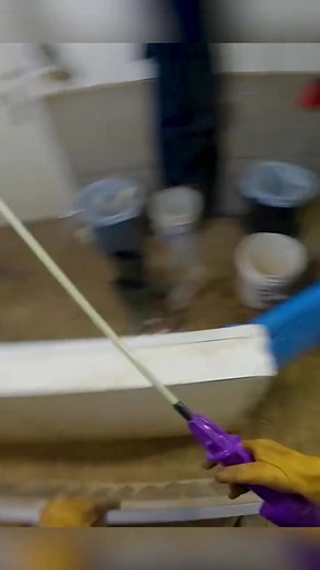 POV loading the last truck of pigs #pov #livestock #hogs @followers@topfans | This’ll Do Farm